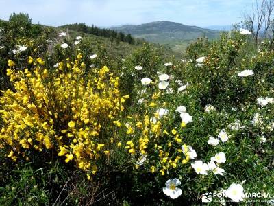 Carcavas de Alpedrete de la Sierra y Meandros del Lozoya;trekking y aventura;pedraza velas